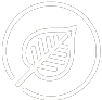 Favicon-White